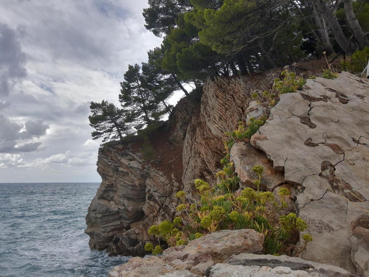 Sea-Side Old Stone Villa With A Private Garden Будва Екстериор снимка