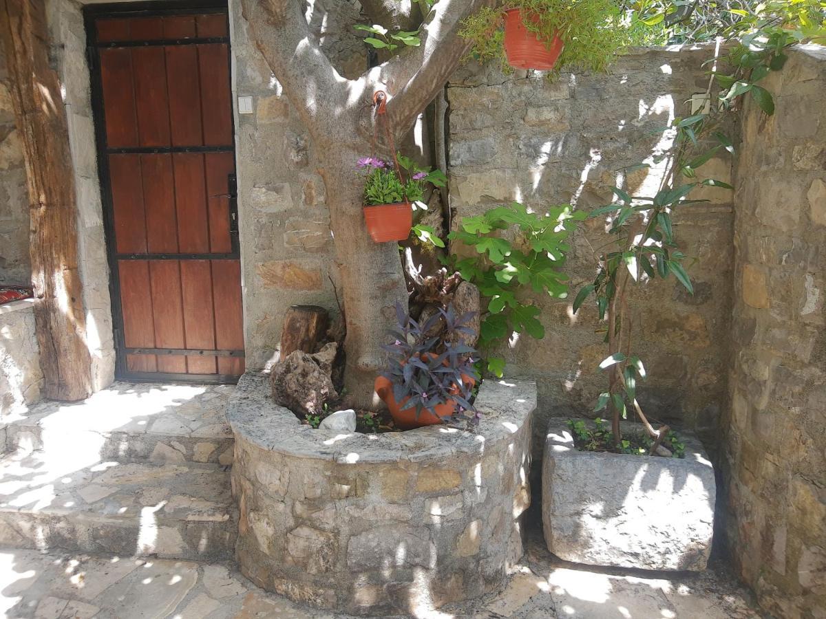 Sea-Side Old Stone Villa With A Private Garden Будва Екстериор снимка