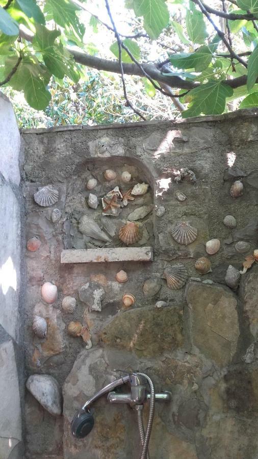 Sea-Side Old Stone Villa With A Private Garden Будва Екстериор снимка